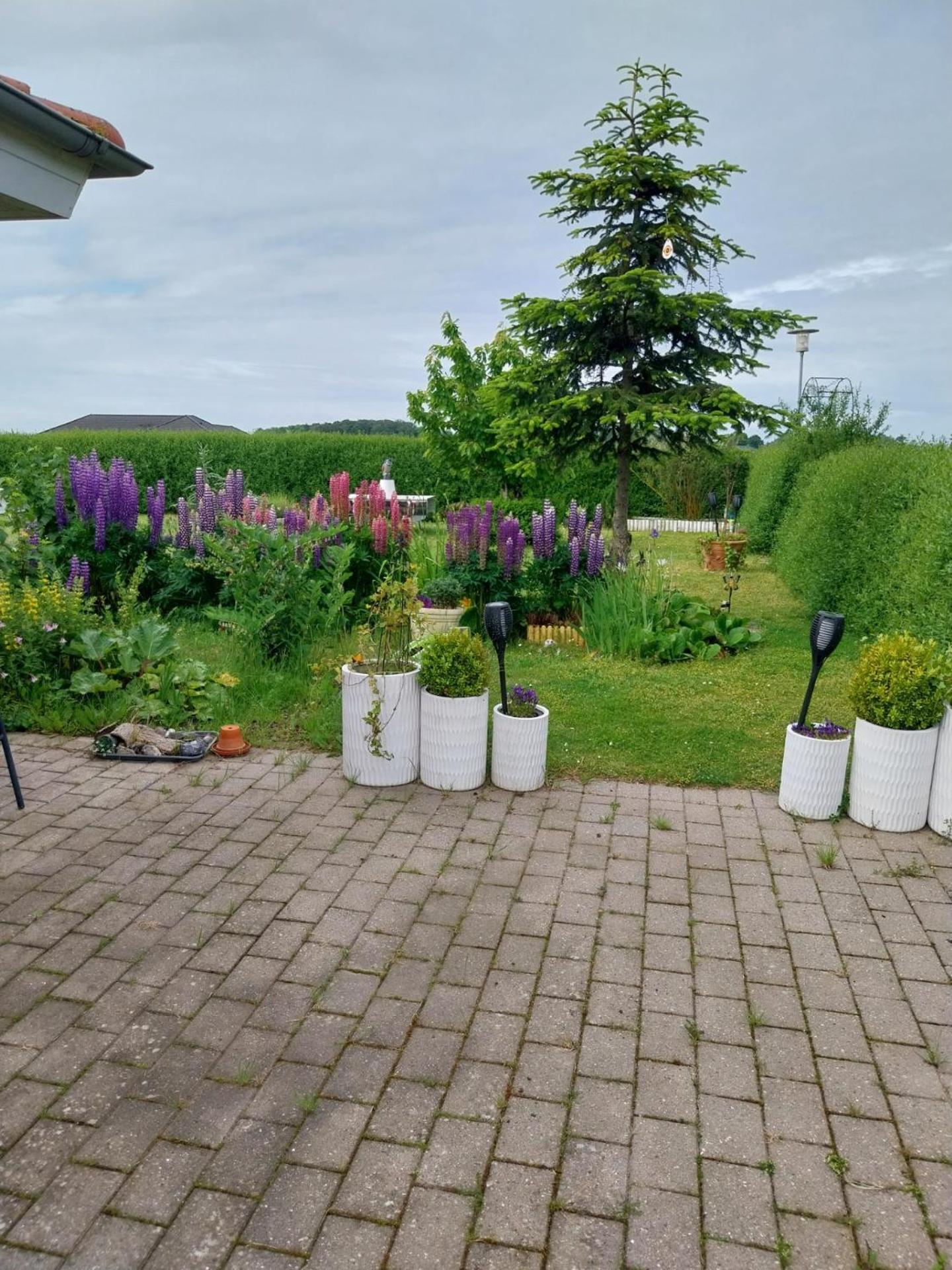 Falster Vaerelse Væggerløse Exterior foto